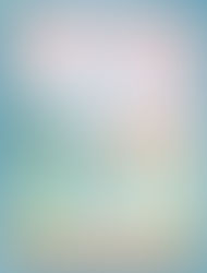 Somebody Else Loves Dandelions