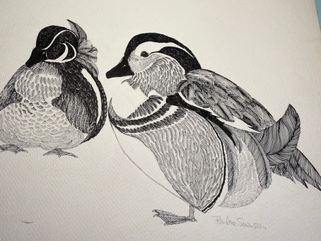 Finding a Quiet Place