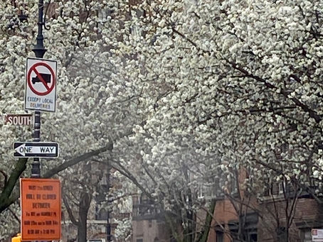 First Week of Self Quarantine