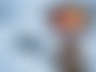 Wärmepumpe Luft Wasser - ideal für den Altbau ?