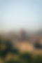 vertical-shot-buildings-florence-italy-from-hill.jpg