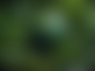 O ESG como uma Revolução no Paradigma de Negócios