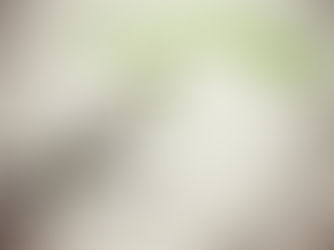 GRI, SASB, ISSB: Qual Padrão ESG Faz Sentido para Sua Empresa?