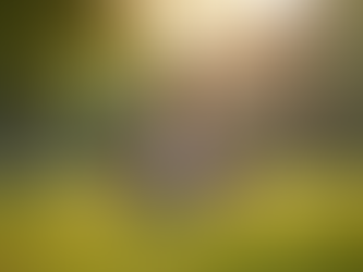 Empowering Women Through Development Programs