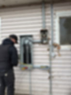 Electrical technician