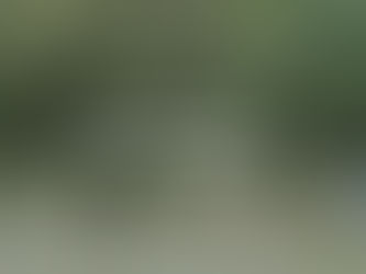 本を出して分かった。私が渡したかったのは、答えではなく判断軸だった