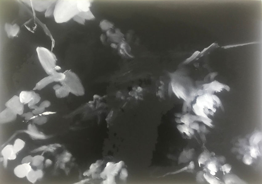 CA18.3, 29,5 x 42 cm, Öl auf Karton