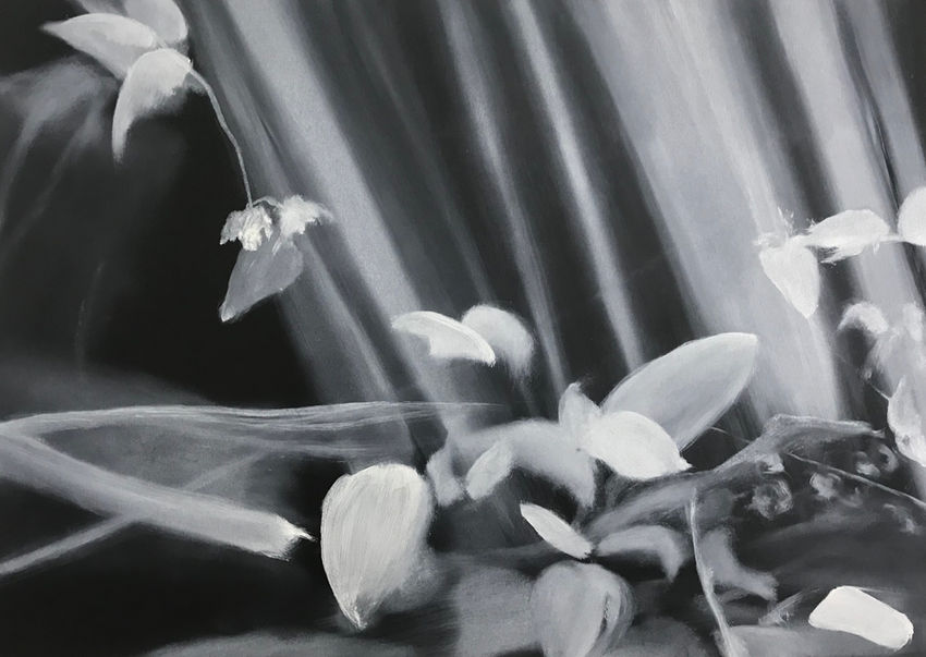 CA18.5, 29,5 x 42 cm, Öl auf Karton