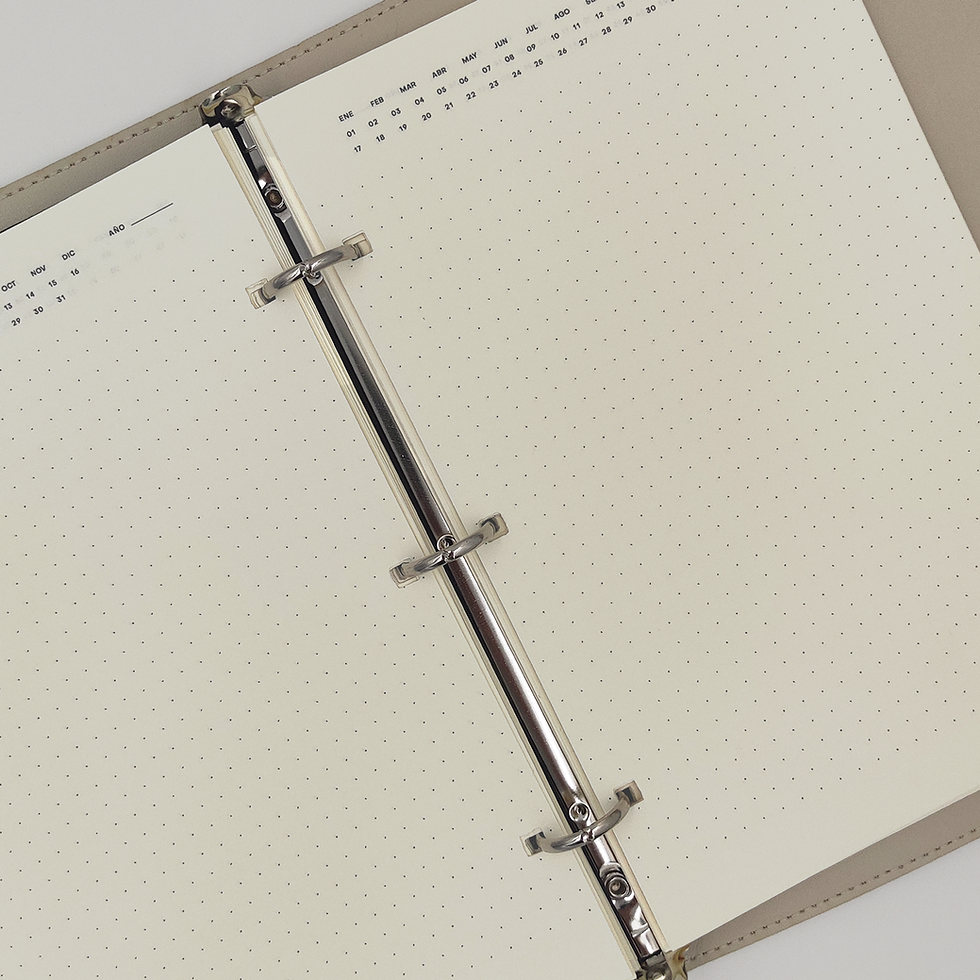 Miniatura: INSERT | Notebook PUNTOS