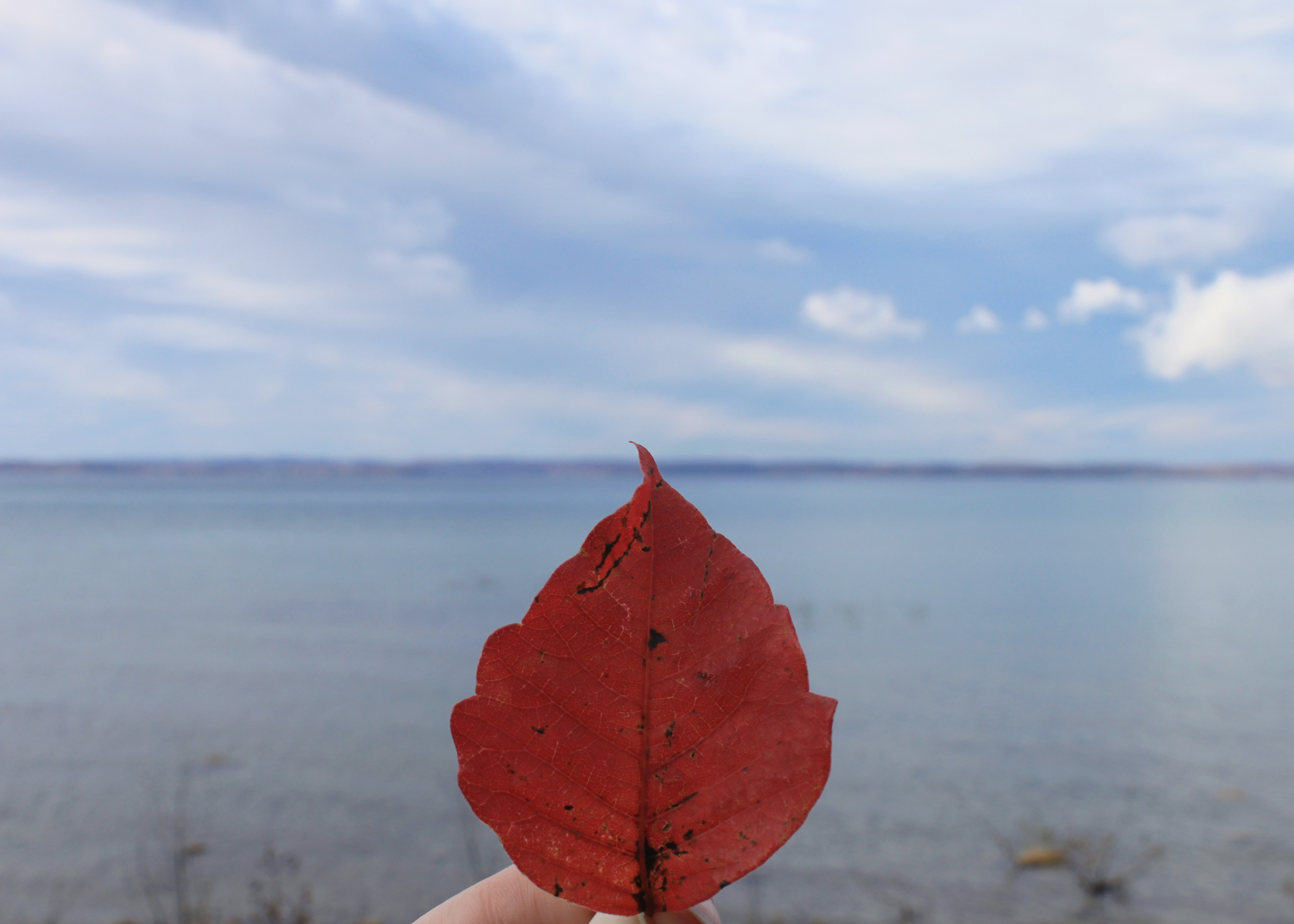 Traverse City
