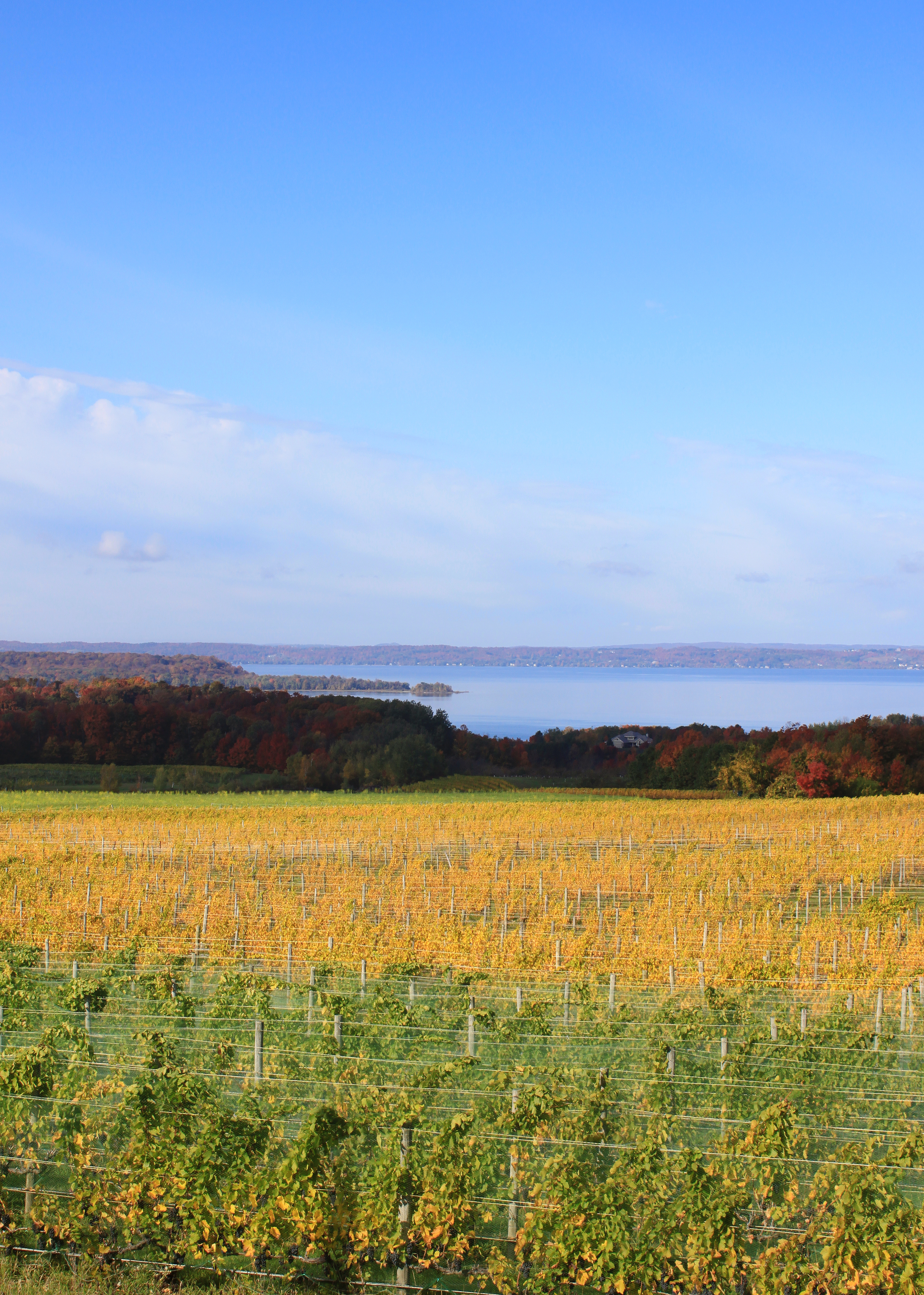 Traverse City