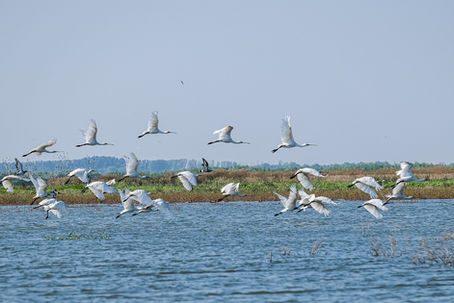 Lefkada's Ecotourism: Nature and Sustainability