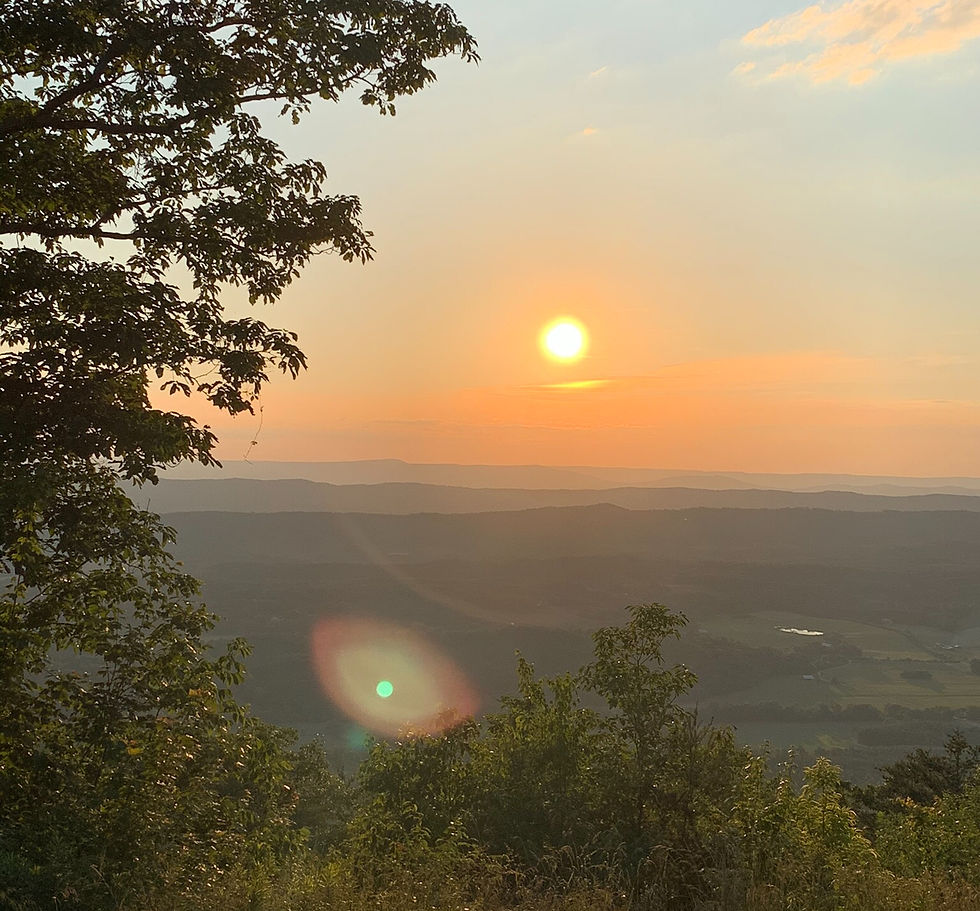 Beauty: an alternative to perfection