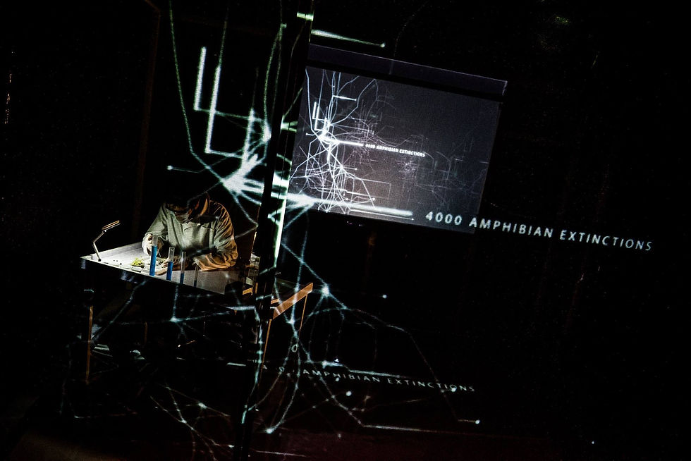 The Lamellar Project