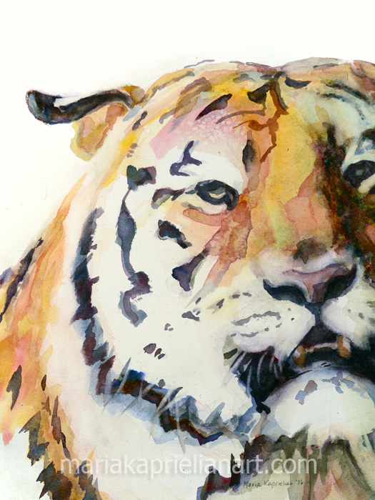 Siberian Tiger watercolor 16x12"