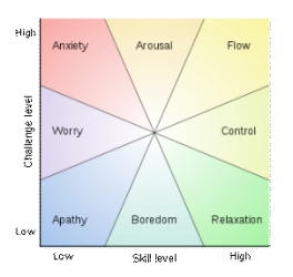 Flow in the Workplace