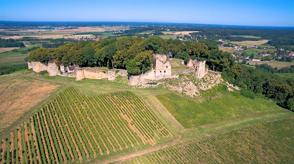 Vestiges de la forteresse médiévale d’Arlay dans le Jura