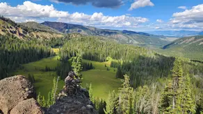 Protect Unspoiled Forests for Good