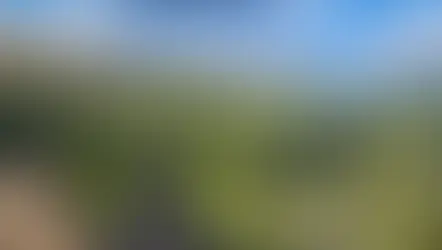 Protect Unspoiled Forests for Good