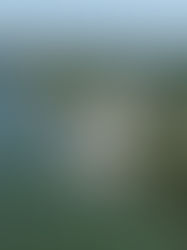 Finding Home on the Water: Life at Jackson Creek Marina