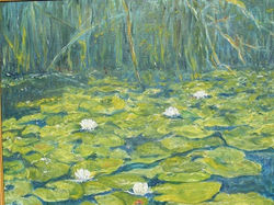 Nenufarowy zakątek,ol.,pł. 55x65,1995