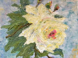 Zarumieniona biała róża,ol., szpachla ,pł.ok 25x26,2014