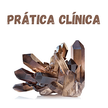 PRÁTICA CLÍNICA (1).png