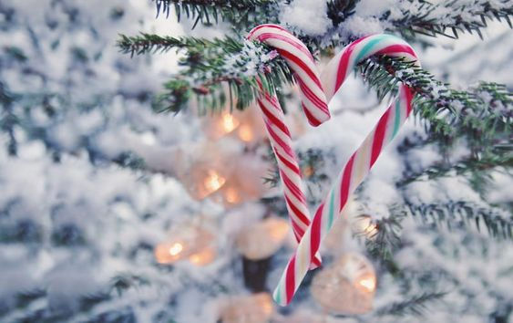 Watch Party Spéciale Noël - Vendredi 23/12