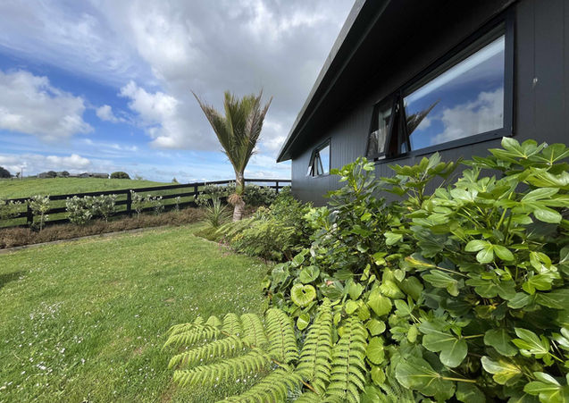 Rural Cambridge landscape design showcasing a dark-painted vertical weatherboard house facade bordered by a lush native garden bed with ponga tree ferns, glossy tractor seat plants, and a young nikau palm on a green lawn next to a post-and-rail farm fence.
