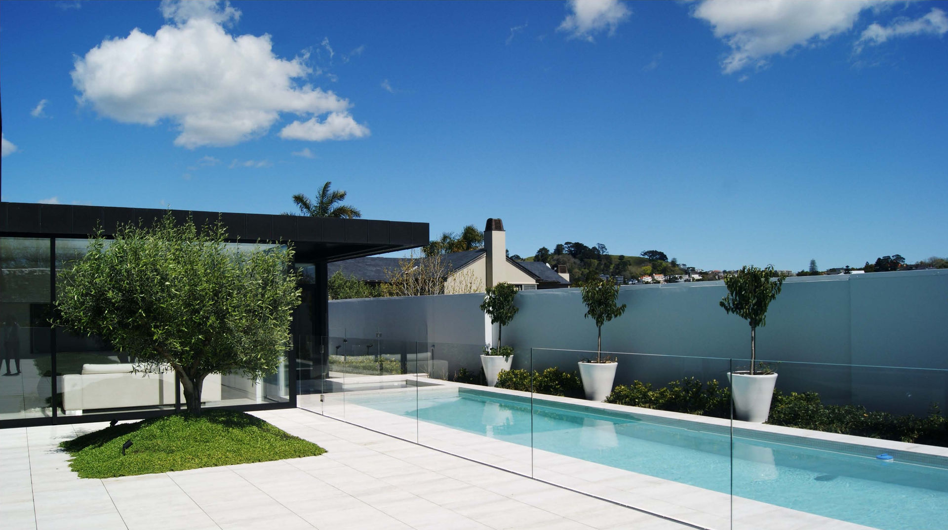 Luxury backyard swimming pool with a frameless glass fence, white stone paver patio, a mature olive tree in a square grass bed, and a modern black and glass pool house pavilion.