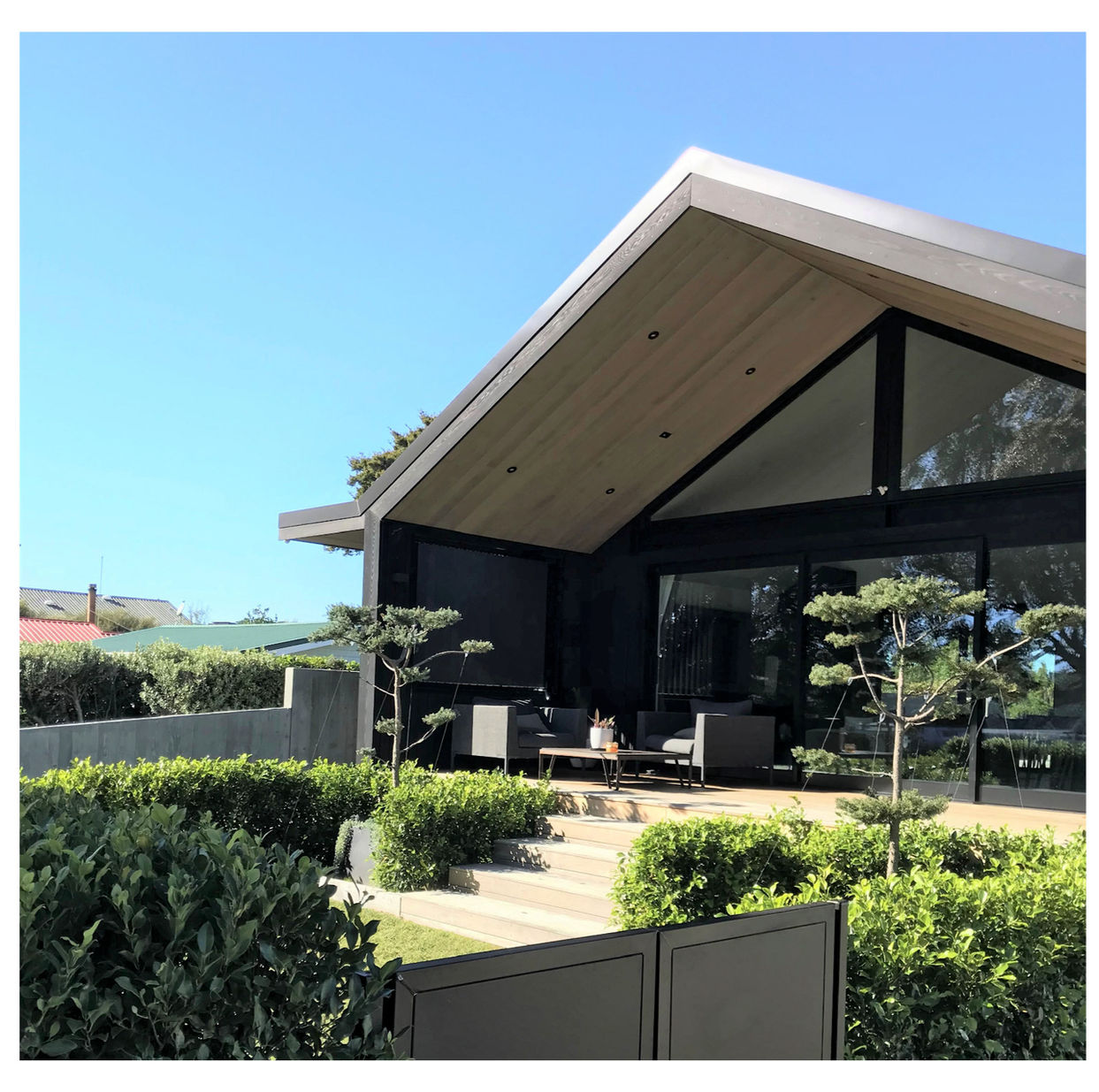 Modern black gabled house in Raglan with a wide timber deck, timber steps, lush green hedging, and cloud-pruned topiary trees in square black pots.