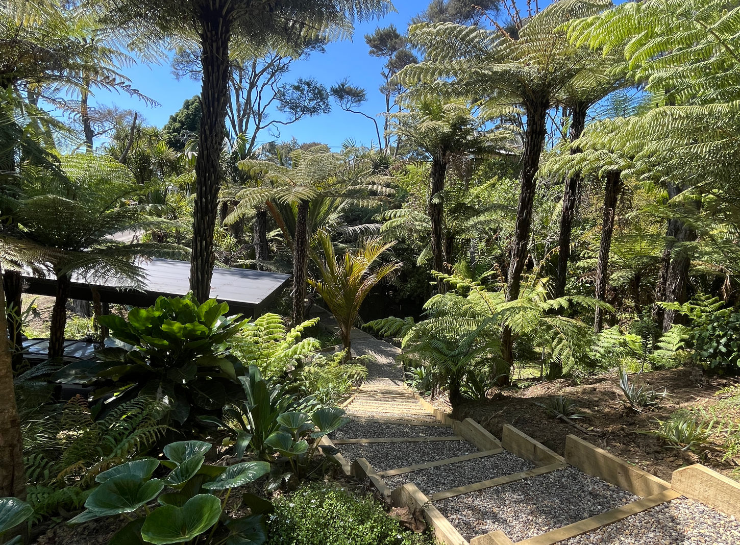 Terraced timber sleeper steps with gravel infill descending down a steep hillside bush section in Raglan by landscape architect Virginia Watt.