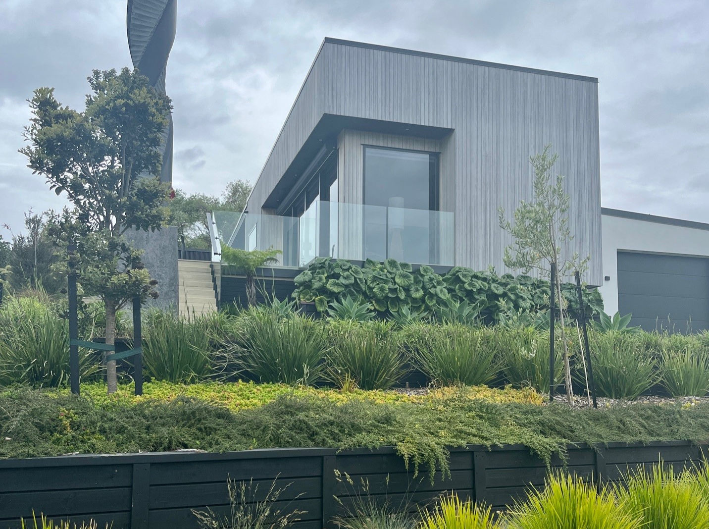 Modern architectural home in Rangitahi Raglan featuring tiered black timber retaining walls, structural ribbons of lime-green Lomond grasses, cascading native groundcovers, and bold tractor seat plants by For the Love of Landscape.