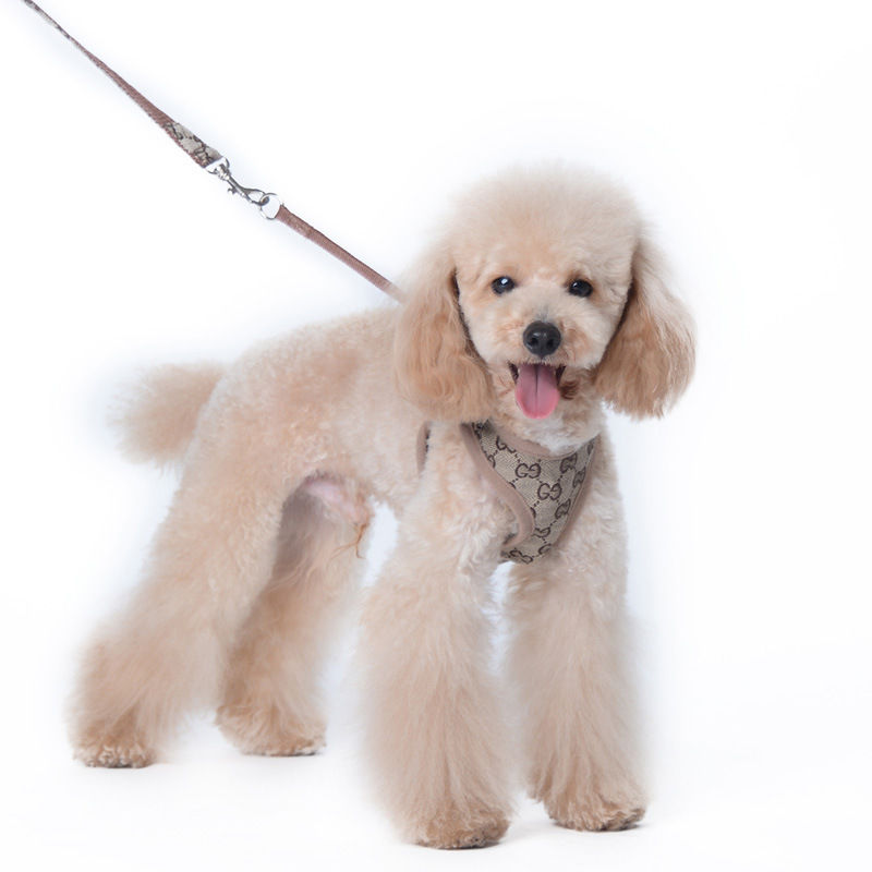 Thumbnail: Pucci Harness & Leash Set