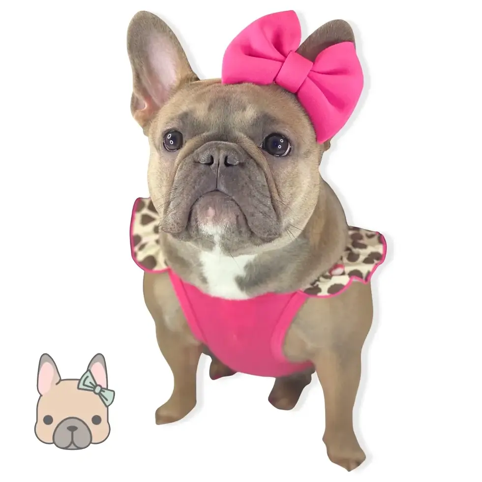 Thumbnail: Hot Pink Sugarplum Bow