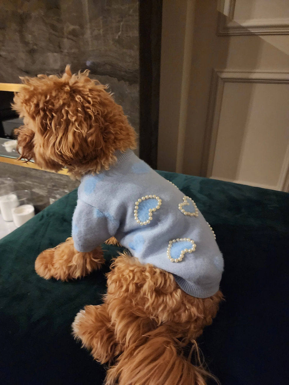 Thumbnail: Pearly Hearts Sweater