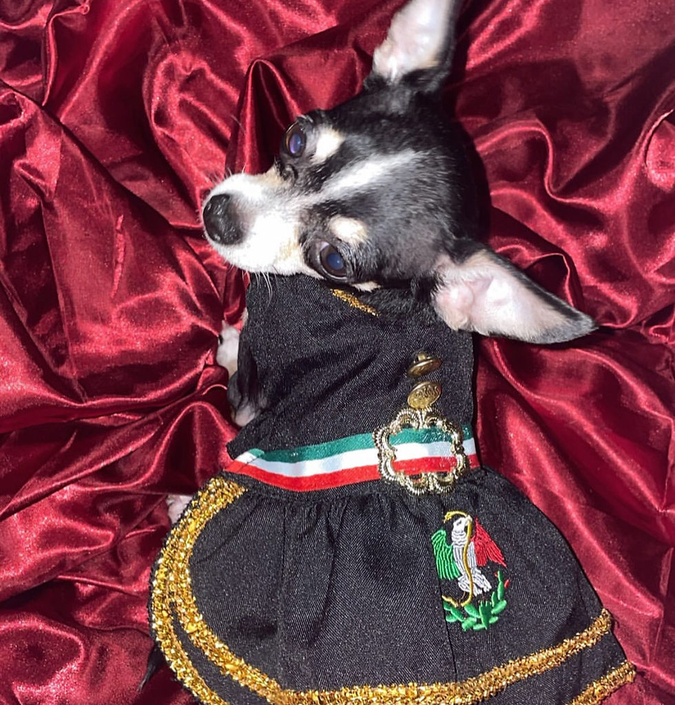 Thumbnail: Black Mariachi Dress