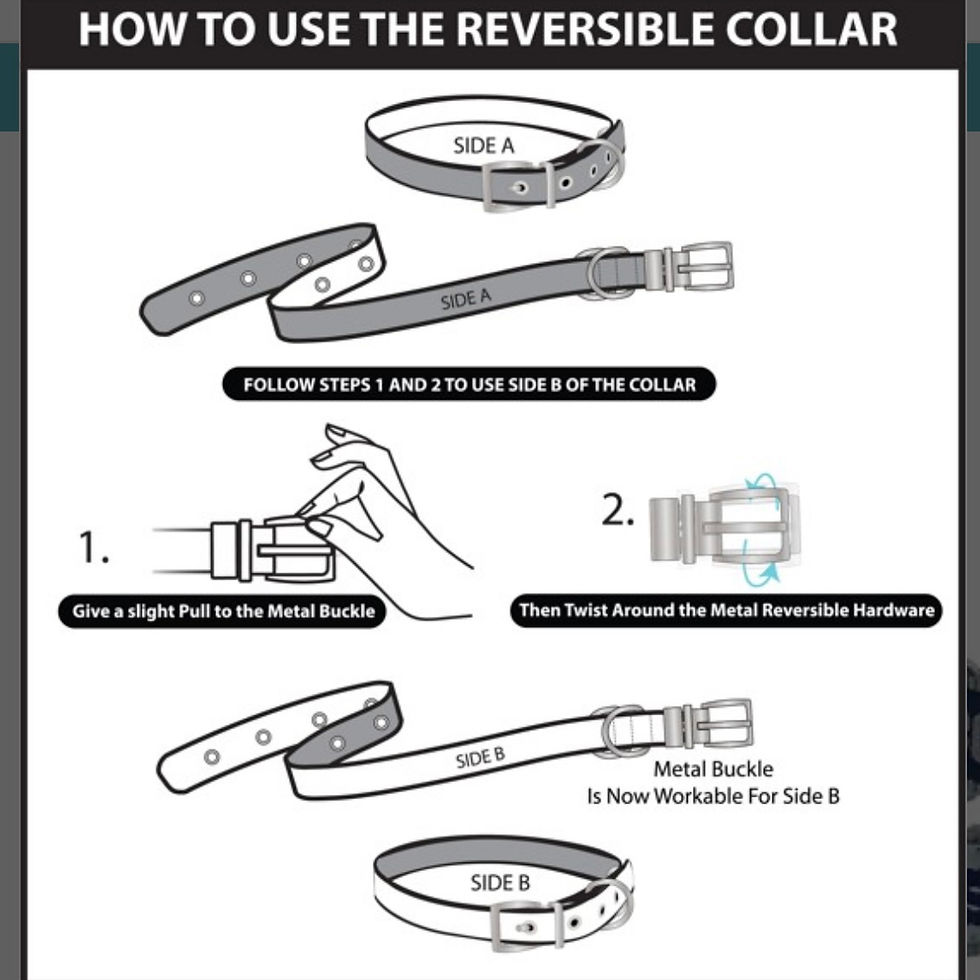Thumbnail: Cowboys Reversible Collar