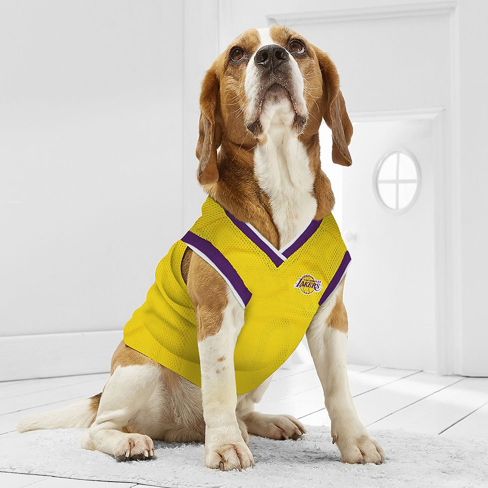 Thumbnail: Lakers Pet Jersey
