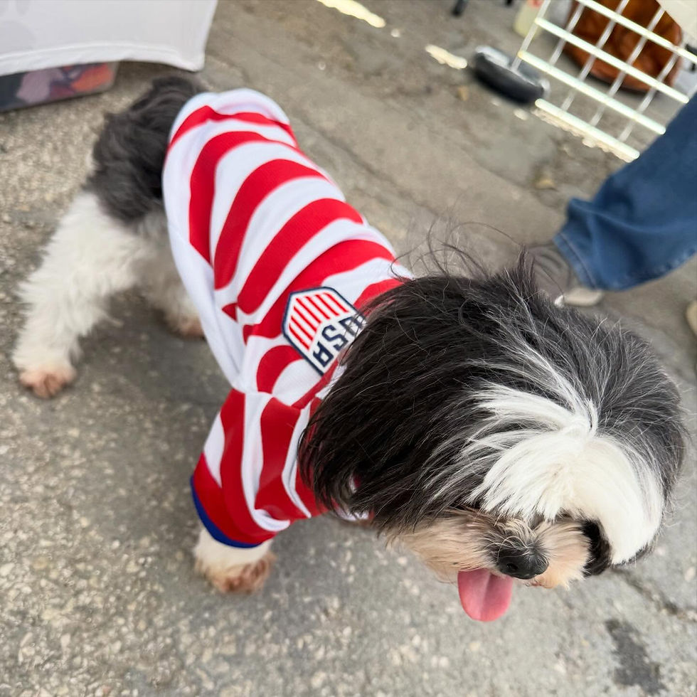 Thumbnail: USA 2026 Dog Soccer jersey