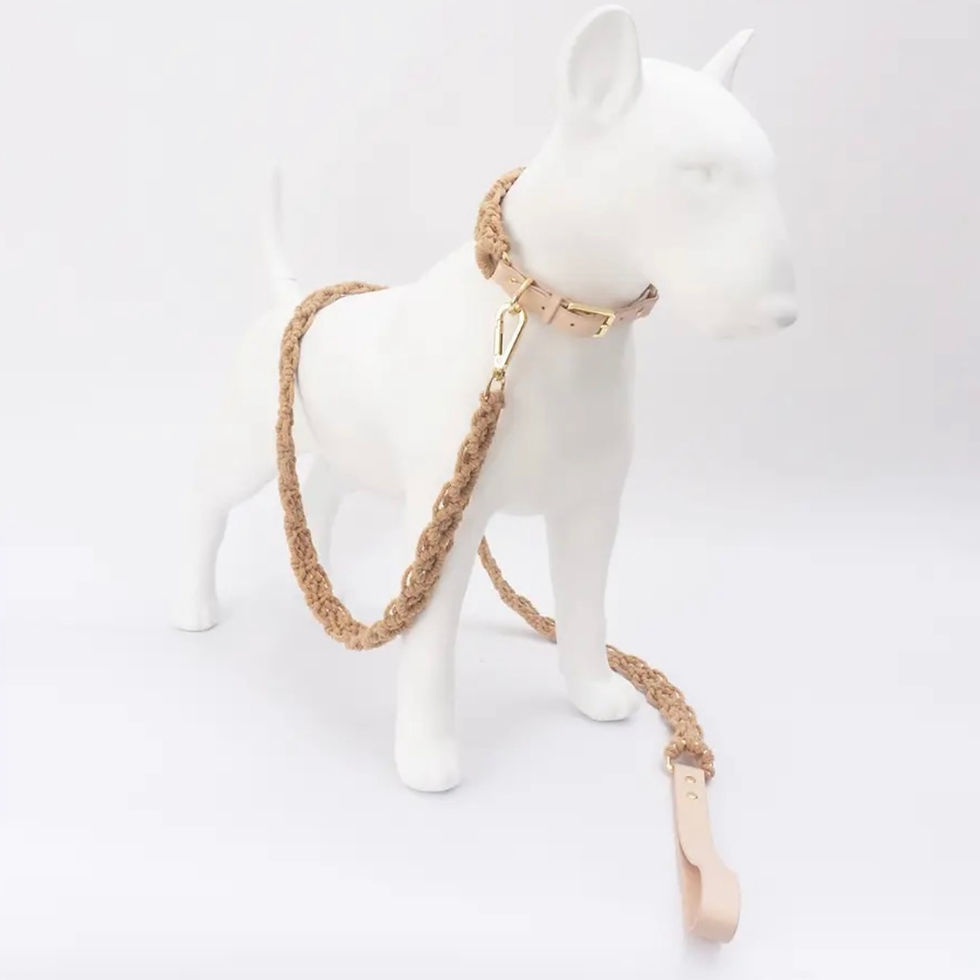 Thumbnail: Tan Macrame Collar & Leash