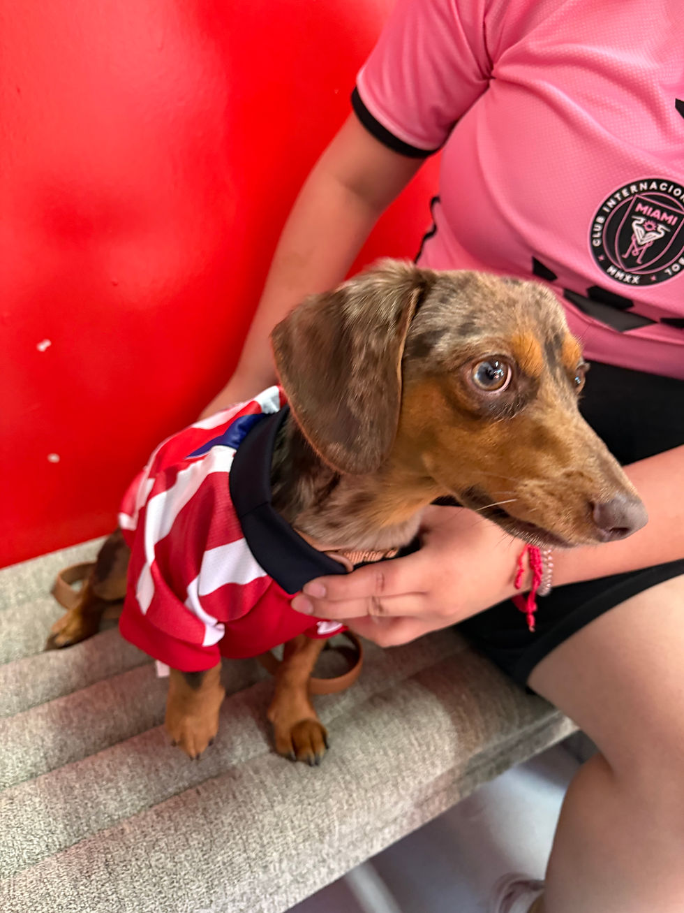 Thumbnail: Club Guadalajara Chivas 2026 Dog Soccer Jersey