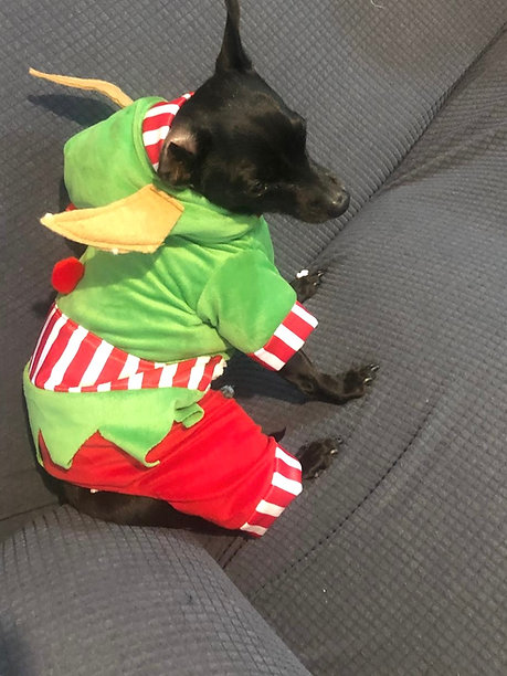 Elf Onesie
