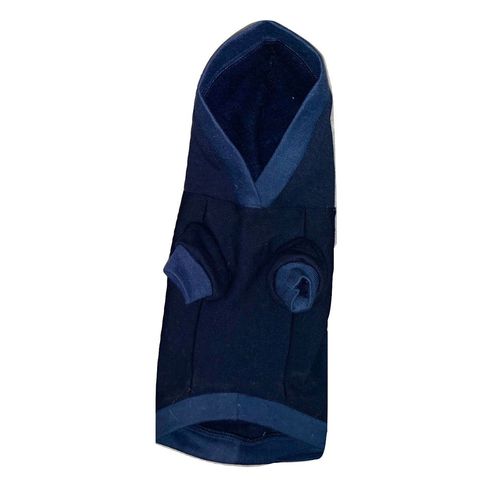 Thumbnail: Favorite Child Hoodies