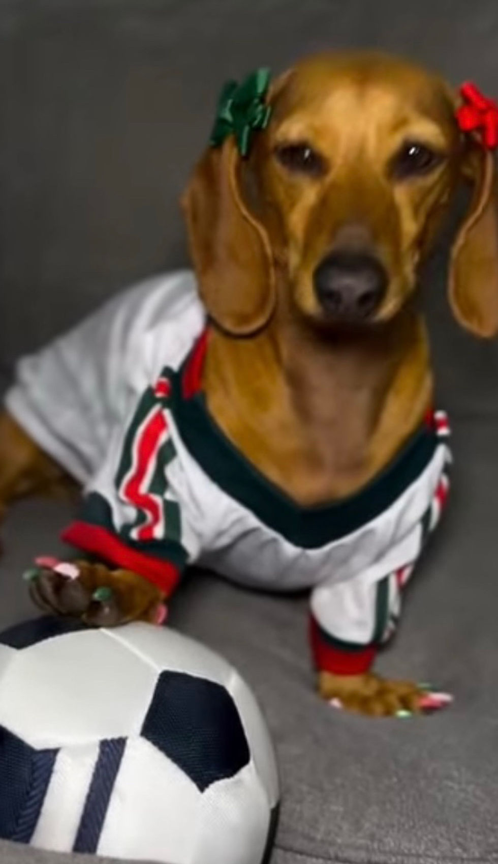 Thumbnail: White Mexico 2026 Dog SoccerJersey