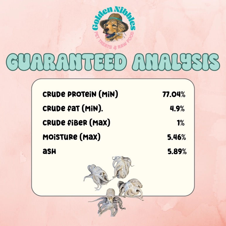 Thumbnail: Baby Octopus