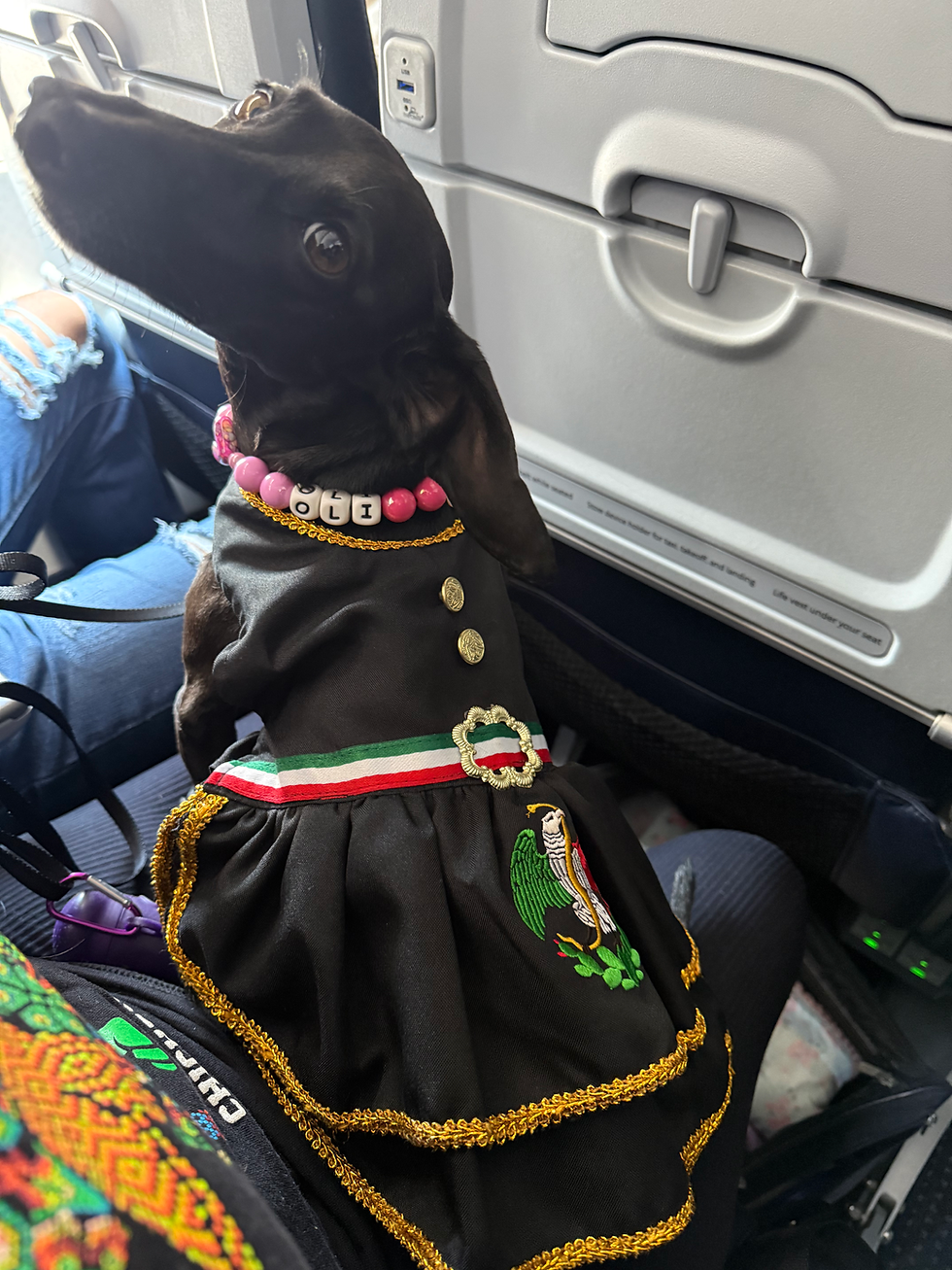 Thumbnail: Black Mariachi Dress
