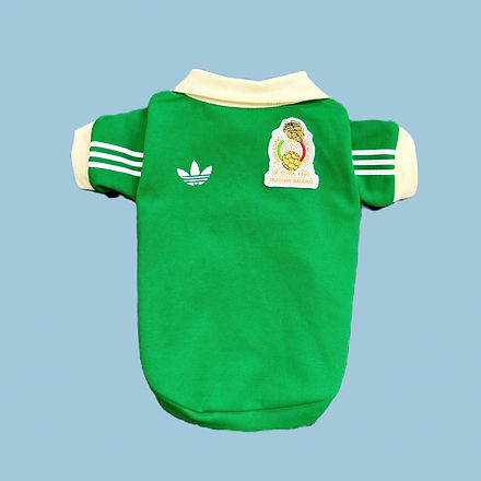 Retro 1986 Mexico Jersey Polo | Daisy & Dog