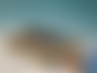 How to Plan a New Construction Project in Los Angeles 