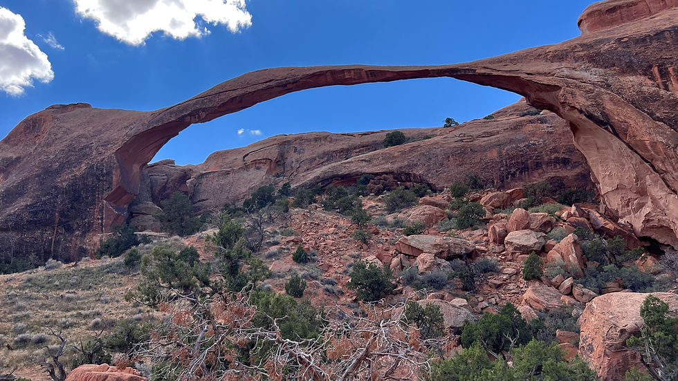 Learning to value my own life choices